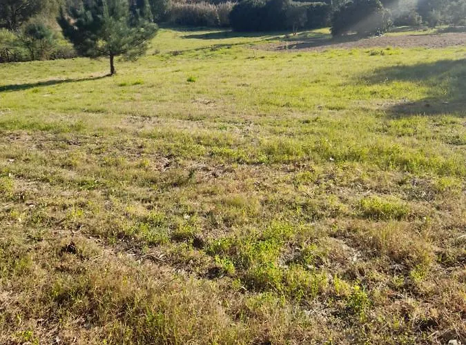 Eco-country-cottage Holiday home Nadadouro