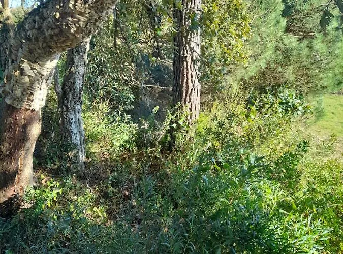 Eco-country-cottage Nadadouro